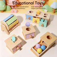 Boîte de tri de formes en bois Montessori, jouet d'association des couleurs, développement de la motricité fine, apprentissage de la permanence de l'objet, cadeau éducatif pour enfants