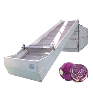 Ligne de production de séchage à bande maillée à grande capacité et à haut rendement pour le séchage des tubercules de bardane et de salsif - Product Image 1