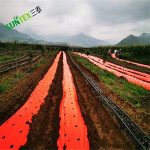 <span class=keywords><strong>Película</strong></span> de Cobertura Reflectante Roja de Polietileno de Baja Densidad para Agricultura, <span class=keywords><strong>Película</strong></span> de Cobertura de LDPE de 30 Micras para Tomate 1*500m - Product Image 2