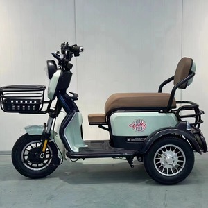 Tricycle électrique agréable, capacité de charge 200 kg, autonomie 50 km, moteur différentiel, carrosserie ouverte, pour usage familial - Product Image 3