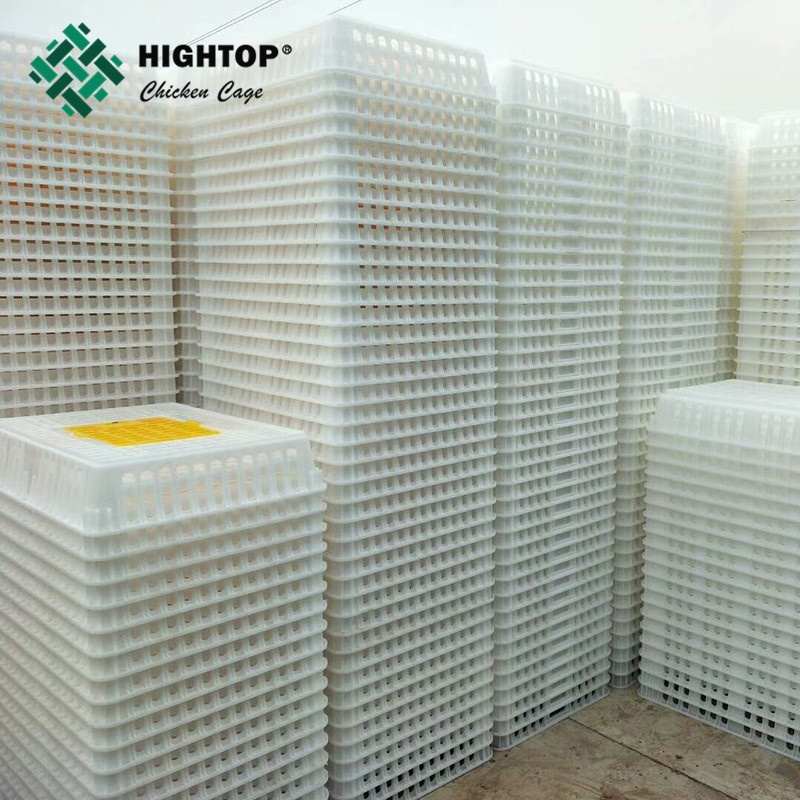 Gia Cầm Nhựa Gà Thịt Gà Sống Vận Chuyển Lồng Hộp Gà Thùng Để Bán