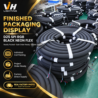 D25 IP66 Noir 360 °   Tube LED à pixels adressables étanche SPI RGB Neon Flex 24V WS2811 pour l'éclairage d'événements commerciaux