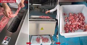 F-500 tự động tươi thịt xương Máy cắt nhiệm vụ nặng nề xương sườn/thịt cừu/xương Máy cắt - Product Image 5