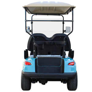 Carrito de Golf Eléctrico Personalizable, Buggy de Bajo Precio - Product Image 2