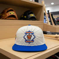 Casquettes de baseball ajustables à 6 panneaux, brodées de haute qualité, bicolores, avec broderie 3D, design vintage, sport, hip-hop, mode