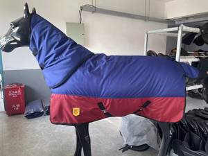 <span class=keywords><strong>Couverture</strong></span> réglable pour animaux de cheval, tapis Standard pour déplacement d'hiver, <span class=keywords><strong>avec</strong></span> <span class=keywords><strong>couverture</strong></span> de <span class=keywords><strong>cou</strong></span> amovible, imperméable, doublure rembourrée et rembourrée - Product Image 2