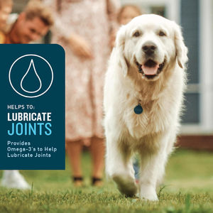 กลูโคซามีนและโคนโดรอิตินสําหรับสะโพกและข้อต่อสนับสนุนลําไส้และสุขภาพภูมิคุ้มกันน้ํามันปลาอาหารเสริมสุนัขอาหารเสริมโภชนาการสัตว์เลี้ยง - Product Image 5