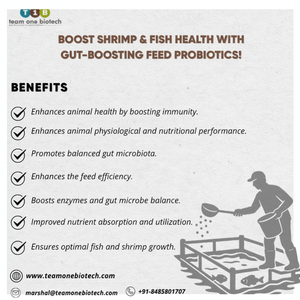 สารเสริมโภชนาการโปรไบโอติกสำหรับการเพาะเลี้ยงสัตว์น้ำ - Product Image 1