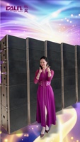 Ensemble de système de son Line Array professionnel 8 sommets et 4 basses avec processeur pour des concerts à grande échelle