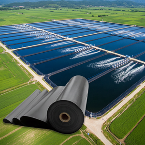 Géomembrane HDPE moderne pour l'irrigation agricole extérieure, l'étanchéité des réservoirs, le traitement des eaux usées et l'utilisation en ferme - 45 mil/0,5 mm/1,0 mm - Product Image 4