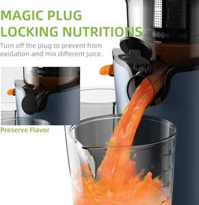 Máquina Exprimidora de Cítricos Comercial, Prensado en Frío, Autoalimentada, Venta al Por Mayor - Product Image 3