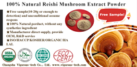 Livraison rapide en 24 heures, poudre d'extrait de Spore cassée de champignon Reishi rouge pur