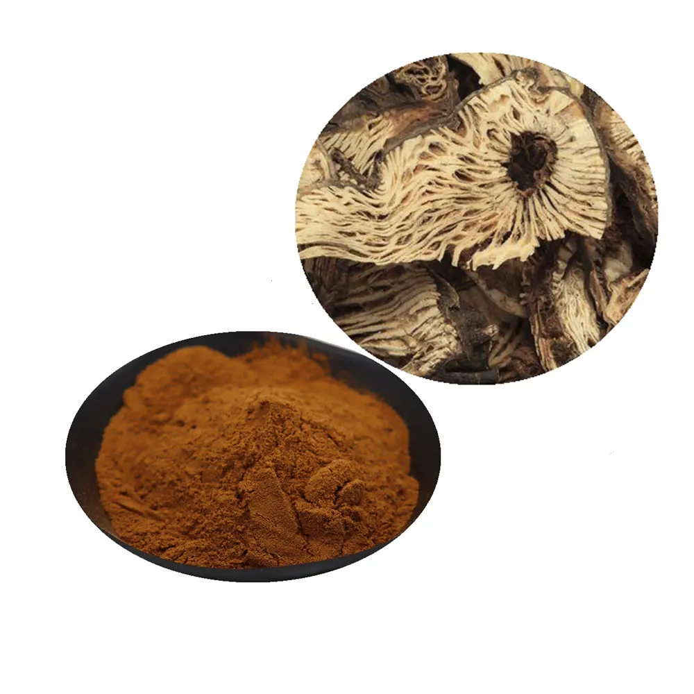 Raw Material Black Cohosh Extract 2.5% 5% Triterpenoid Saponin