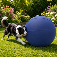 Grand ballon gonflable en PVC pour chien, idéal pour le yoga canin et l'entraînement d'agilité extérieur des chevaux et des chiens de grande taille