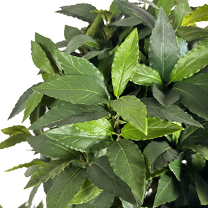 Réaliste 160cm Artificielle Laurel Bay Tree Faux Plastique Vert <span class=keywords><strong>Feuille</strong></span> <span class=keywords><strong>Plante</strong></span> <span class=keywords><strong>Plante</strong></span> Artificielle pour Intérieur Bureau À Domicile Décoratif - Product Image 3