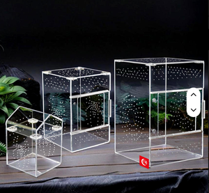 Nuevos Recintos <span class=keywords><strong>de</strong></span> Acrílico para Tarántulas, Casetas <span class=keywords><strong>de</strong></span> Cría <span class=keywords><strong>de</strong></span> Reptiles, Criaderos <span class=keywords><strong>de</strong></span> Arañas con Techo, Venta al por Mayor para Profesionales <span class=keywords><strong>de</strong></span> la Serología - Product Image 2