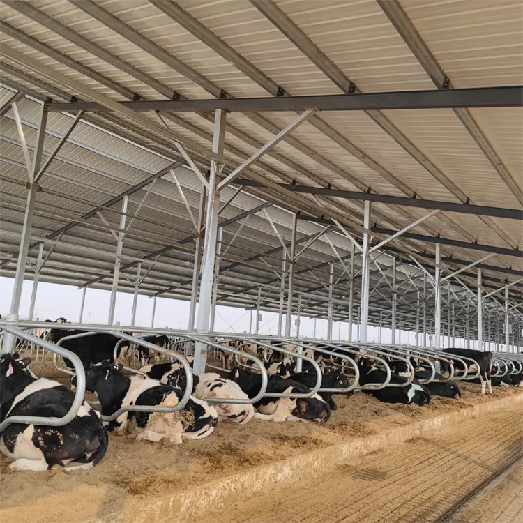 Corral Panels For Farms Hot Dip Galvanized Cattle Farm Use Double Free Stall Cattle Cubicles
