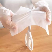TPE gants de ménage jetables de qualité alimentaire cuisson des aliments cuits salon de beauté teinture des cheveux
