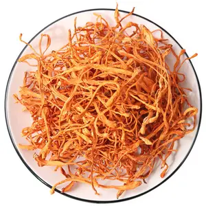 उच्च गुणवत्ता cordyceps militaris फलने बोबी सूखे Cordyceps Militaris फूल