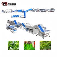 Máquina Procesadora de Vegetales, Línea de Lavado de Lechuga, Línea de Procesamiento de Vegetales de Hoja con Flujo de Agua, Línea de Lavado y Secado de Espinaca