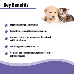 Contrôle proactif de la vessie Santé des voies urinaires Pâte de gel pour animaux de compagnie Supplément de santé rénale - Product Image 3