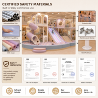 Equipo de juegos para interiores: Módulos de castillo de hadas, túnel de gateo, piscina de bolas, certificado CE ASTM, para proyectos de centros comerciales