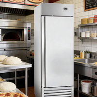 Congélateur vertical commercial à contrôle de température numérique, système de refroidissement par ventilateur, conception grande capacité pour usage centralisé