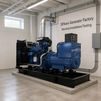 Groupe électrogène diesel silencieux 20 kW 25 kVA homologué CE ISO, fabriqué par une usine avec plus de 30 ans d'expérience, avec alternateur sans balais et AVR