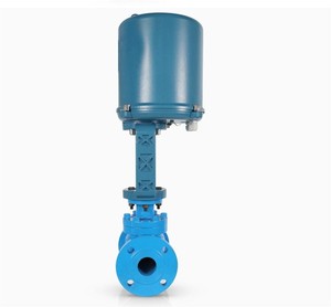 Válvula de Flujo de un Solo Asiento con Control Electrónico de Acero Inoxidable, Reguladora OEM IP65 - Product Image 2