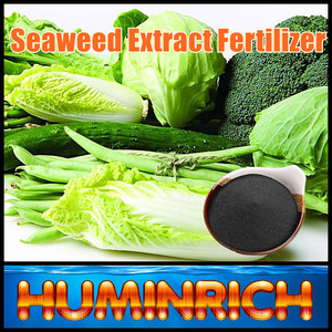 Huminric Varech Source les éléments Nutritifs Des Plantes Acide Humique Algues Élèvent La Stimulant - Product Image 2