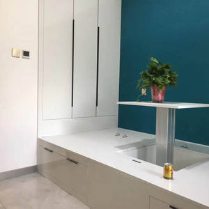 キッチンキャビネット用装飾フィルムシート0.16-0.6mmカスタムグリーン環境保護高光沢不透明カラーリジッド<span class=keywords><strong>PETG</strong></span> - Product Image 5