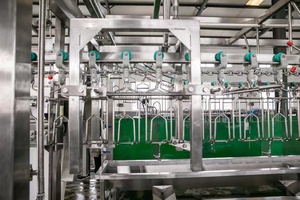 Machine à retirer l'huile de l'estomac des moutons, des porcs et des vaches, petite capacité, acier inoxydable, moteur haute efficacité, abattoir avicole - Product Image 4