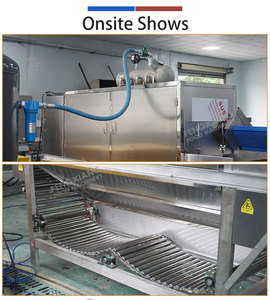 Máquina Peladora de Ajo y Cebolla Industrial Tipo Cadena con Soplado de Aire 500-1000kg/h Venta Directa de Fábrica - Product Image 5