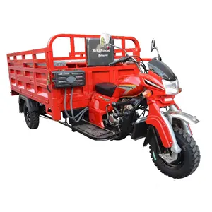 New kind cheap three wheel motorized vehicle/cargo tricycle