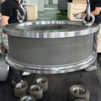 Pièces de rechange pour moulin à granulés TMP420, fabriquées sur mesure en acier inoxydable, résistantes à l'usure, pour Triumph 420-138.
