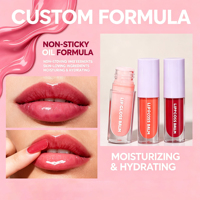 Gloss à lèvres liquide minéral végétalien hydratant et nourrissant, longue tenue, imperméable, de haute qualité, avec logo personnalisé en gros