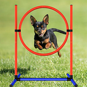 Güvenli aşınmaya dayanıklı eğlenceli kolay kurulum Pet eğitim ekipmanları köpek engel eğitim dişli Pet oyun ve köpek koşu eğitim için - Product Image 4
