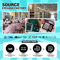 Kit de cils en grappe personnalisé avec logo, prix d'usine, courbure C, auto-greffe, effet yeux de chat, segments pré-coupés, ensembles de cils DIY