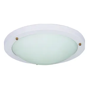 Ánh Sáng Trần E27 Lampholder/LED Trần Phụ Kiện Whtie Cơ Sở Với OPAL GLASS Bìa Ánh Sáng Phòng Tắm IP44