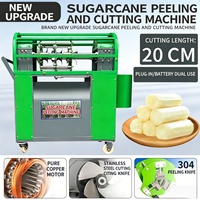 Machine à éplucher et couper la canne à sucre en acier inoxydable, prix usine, élimine la peau rapidement sans gaspillage de fruits