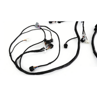Harnais de câblage personnalisé directement de l'usine pour l'automobile et l'informatique, service OEM/ODM, isolation en nylon, longueur personnalisée disponible