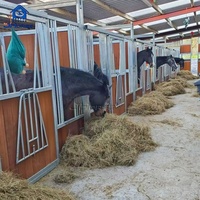 Panneaux modulaires JHorse pour écuries, installation facile, porte coulissante, box pour chevaux avec soudures polies sans bavures et sécurisées pour les chevaux