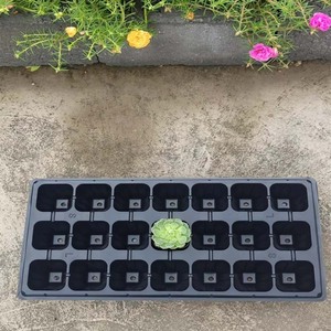 Barquettes <span class=keywords><strong>en</strong></span> plastique PET noires jetables pour semis <span class=keywords><strong>de</strong></span> légumes, taille 540x280mm, capacité 21-200 cellules, pour pépinière <span class=keywords><strong>de</strong></span> plantes succulentes, marque XHY - Product Image 6