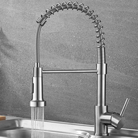 Robinet de cuisine double poignée monotrou en acier inoxydable, nouveau produit commercial moderne à double sortie, style européen avec douchette extractible