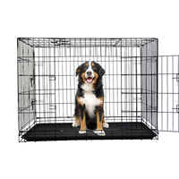 Cage pour animaux de compagnie en métal indestructible de haute qualité, respectueuse de l'environnement, avec plateau en plastique, design simple et solide, pour chiens, chats, poulets