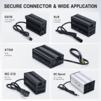 Chargeur au lithium de qualité industrielle 16,8 V 15 A avec boîtier en aluminium, connecteur XT90 sécurisé pour moto électrique, prix d'usine