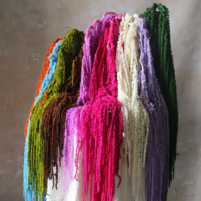 Preserved Amaranthus 60-110cm