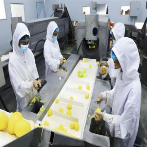 기계 생산 라인을 만드는 산업용 질경이 칩 감자 칩 기계 라인 생산 소형 - Product Image 6