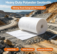 Géotextile en polyester haute résistance pour la protection des sous-sols de routes minières