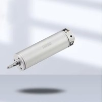 Moteur sans balais à cuve creuse 1650R 16 mm 12 V 30 W 15 000 tr/min pour instrument cosmétique miniature, manucure intelligente avec décélération